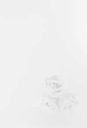 縦書き・モノクロ(白黒)花柄デザイン(1)の喪中はがき背景画像(文字なし)