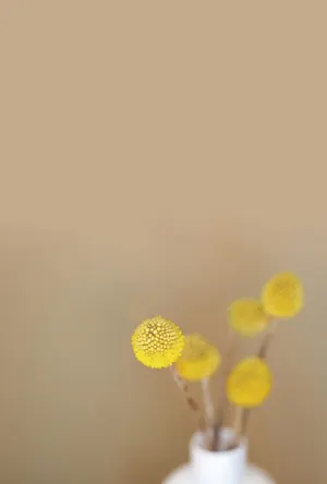 縦書き・花柄写真デザインの喪中はがき背景画像(文字なし)