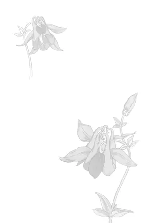 縦書き・モノクロ(白黒)花柄デザイン(3)の喪中はがき背景画像(文字なし)