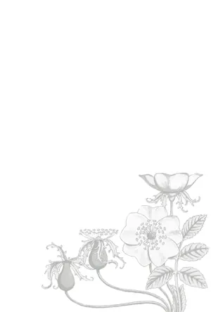 縦書き・モノクロ(白黒)植物柄デザイン(3)の喪中はがき背景画像(文字なし)