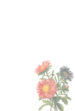 縦書き・おしゃれでモダンな花柄デザインの喪中はがき背景画像（文字なし）