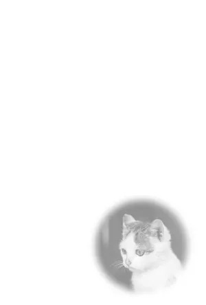縦書き・スコティッシュフォールドデザインの喪中はがき背景画像（文字なし）