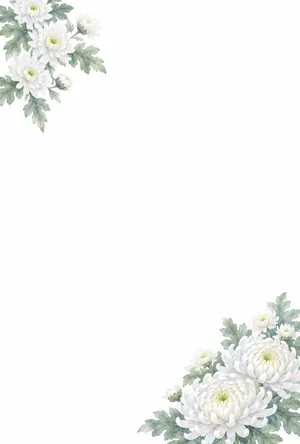 縦書き・白い輪菊（大輪の白菊）デザインの喪中はがき背景画像（文字なし）