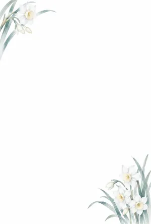 縦書き・水仙の花の水彩デザインの喪中はがき背景画像（文字なし）
