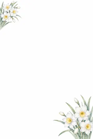 縦書き・白い水仙の年賀状じまいデザインの喪中はがき背景画像（文字なし）
