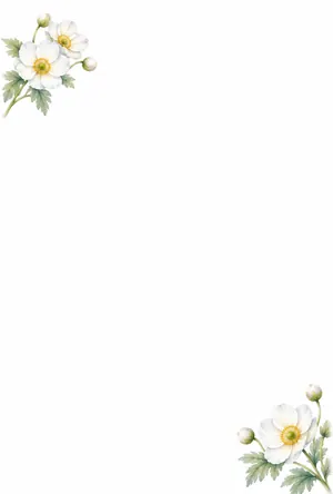 縦書き・秋明菊（シュウメイギク）デザインの喪中はがき背景画像（文字なし）