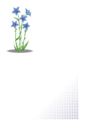 縦書き・桔梗(キキョウ)柄デザインの喪中はがき背景画像(文字なし)
