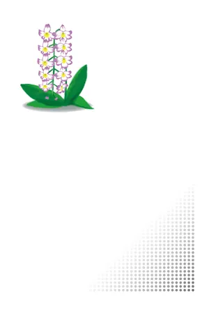 縦書き・すみれ柄デザイン(3)の喪中はがき背景画像(文字なし)