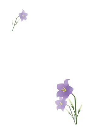 縦書き・スタンダードな桔梗柄デザインの喪中はがき背景画像(文字なし)
