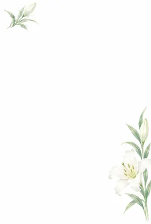 横書き・白百合の水彩デザインの喪中はがき背景画像（文字なし）