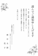 縦書き・モノクロ（白黒）蓮の墨絵デザインの死亡通知はがきテンプレート