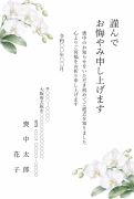 縦書き・白い胡蝶蘭（こちょうらん）の花の水彩デザインのお悔やみはがきテンプレート