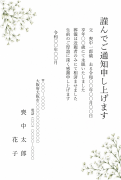 縦書き・かすみ草の水彩デザインの死亡通知はがきテンプレート