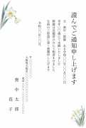 縦書き・水仙（すいせん）デザインの死亡通知はがきテンプレート