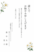 縦書き・秋明菊（しゅうめいぎく）デザインのお悔やみはがきテンプレート