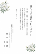 縦書き・白いトルコキキョウデザインの死亡通知はがきテンプレート